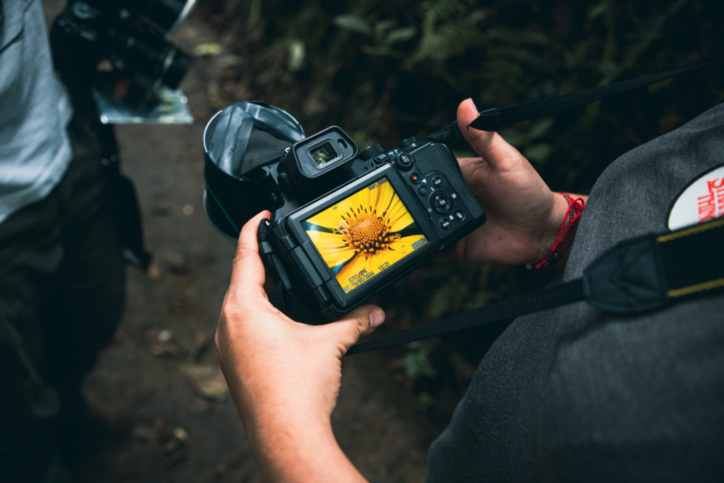 Cómo iniciar en el mundo de la fotografía: un pasatiempo que se convierte en pasión